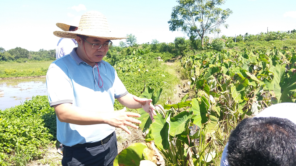 优德88·(中国区)有限公司官网
