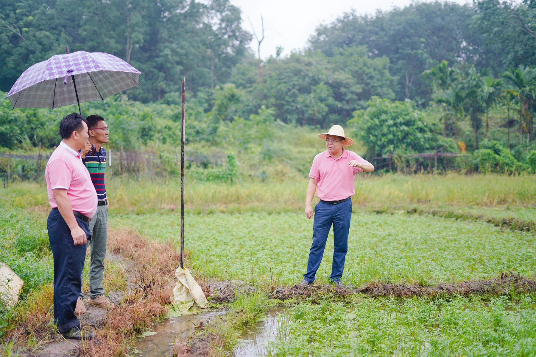 优德88·(中国区)有限公司官网