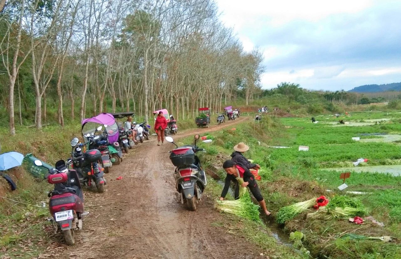 优德88·(中国区)有限公司官网